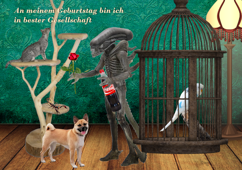 Persönliche Gruss- und Glückwunschkarten im Repro- und Werbezentrum Prenzlauer Berg GmbH